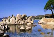 卡塔尔vs伊朗，这场对决有哪些看点和关键因素？